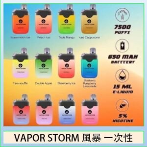 Vapor Storm風暴電子煙7500口(5%)一次性