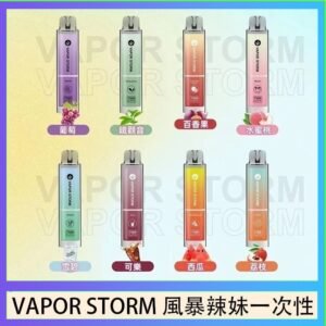VAPOR STORM風暴辣妹一次性主機充電7500口(5%)