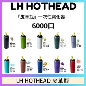 LH HOTHEAD皮革瓶電子煙可充電6000口一次性