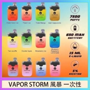 Vapor Storm風暴電子煙7500口（5%）一次性