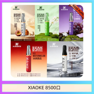 梟客XIAOKE一次性電子菸拋棄式8500口